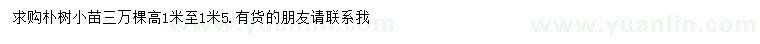 求購高1-1.5米樸樹