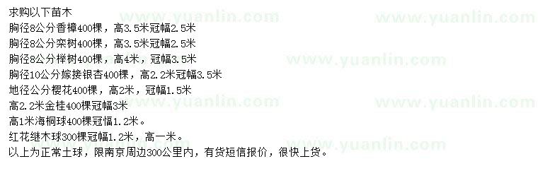 求購(gòu)香樟、欒樹(shù)、櫸樹(shù)等