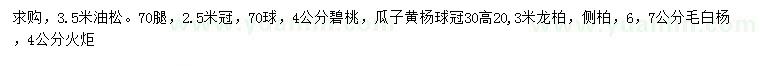 求購(gòu)油松、碧桃、瓜子黃楊球等