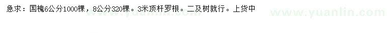 求購6、8公分國槐