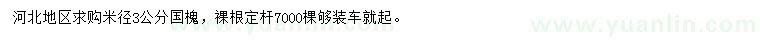 求購米徑3公分國槐