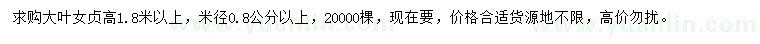求購高1.8米以上大葉女貞