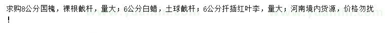求購國槐、白蠟、紅葉李