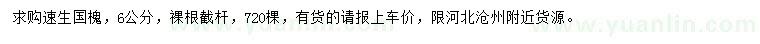求購6公分速生國槐