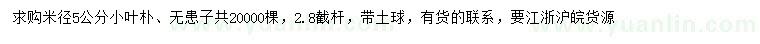 求購米徑5公分小葉樸、無患子