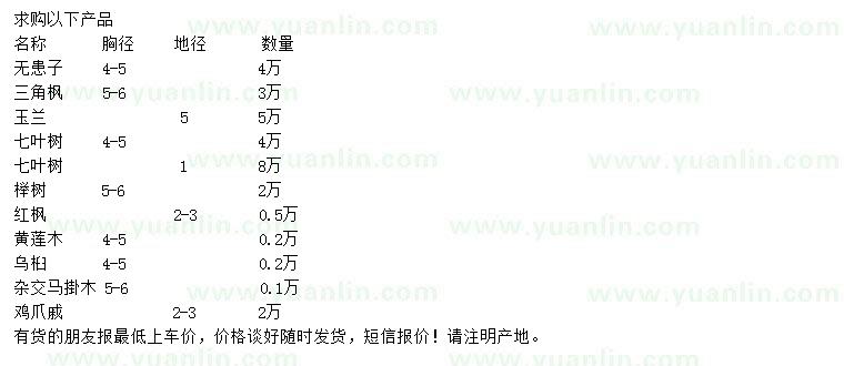 求購(gòu)無(wú)患子、三角楓、玉蘭等