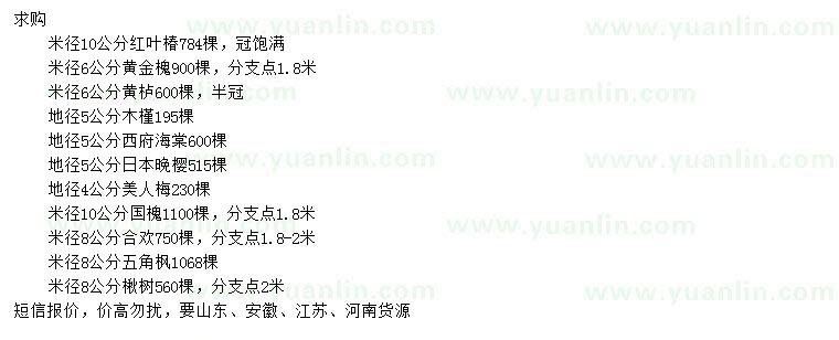 求購(gòu)紅葉椿、黃金槐、黃櫨等