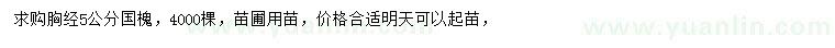 求購(gòu)胸徑5公分國(guó)槐
