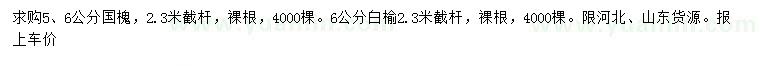 求購(gòu)5、6公分國(guó)槐、6公分白榆