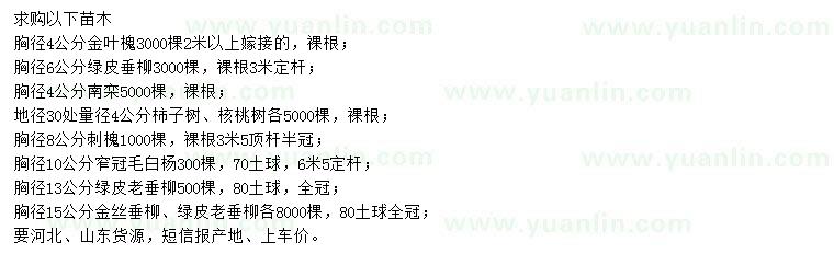求購金葉槐、綠皮垂柳、南欒等