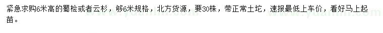 求購高6米蜀檜、云杉 