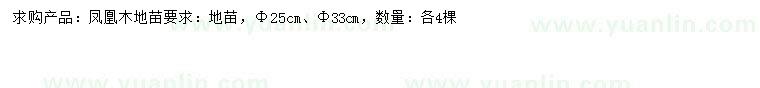 求購25、33公分鳳凰木