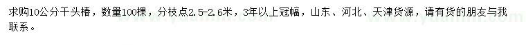 求購10公分千頭椿