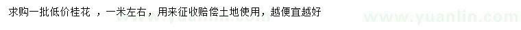 求購(gòu)1米桂花