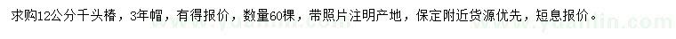 求購12公分千頭椿