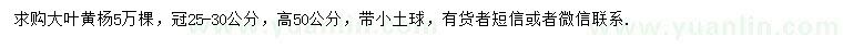 求購高50公分大葉黃楊