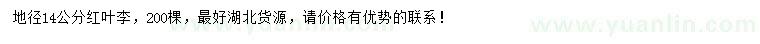 求購地徑14公分紅葉李