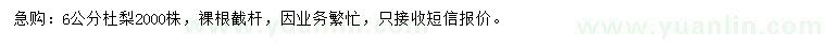 求購6公分杜梨