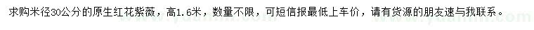 求購米徑30公分紅花紫薇