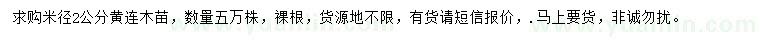 求購米徑2公分黃連木