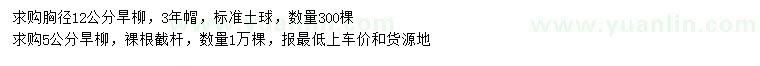 求購胸徑5、12公分旱柳