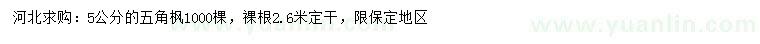 求購5公分五角楓