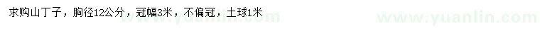 求購胸徑12公分山丁子