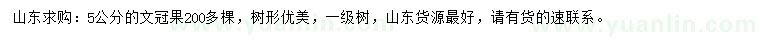 求購5公分文冠果