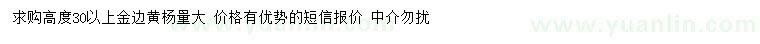 求購高30公分以上金邊黃楊