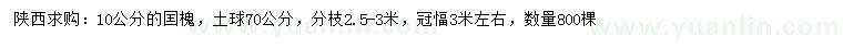 求購10公分囯槐