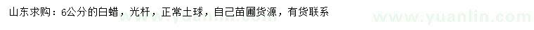 求購(gòu)6公分白蠟