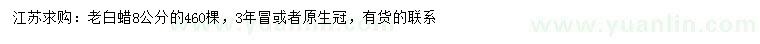 求購8公分老白蠟