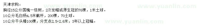 求購(gòu)國(guó)槐、毛白楊、千頭椿