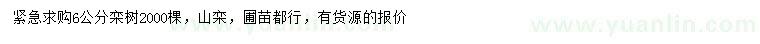 求購6公分欒樹