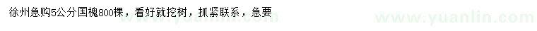 求購(gòu)5公分國(guó)槐