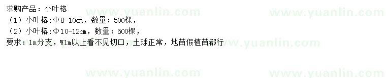 求購8-12公分小葉榕