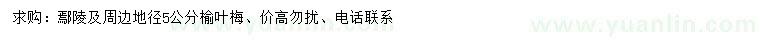 求購(gòu)地徑5公分榆葉梅