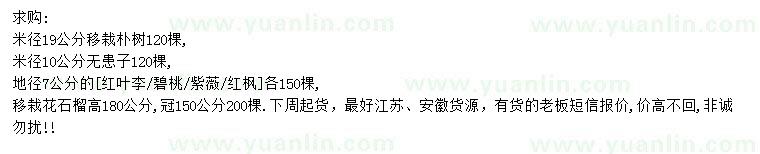 求購樸樹、無患子、紅葉李等