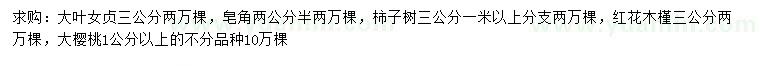 求購大葉女貞、皂角、柿子樹等