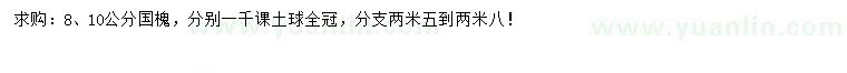 求購8、10公分國槐