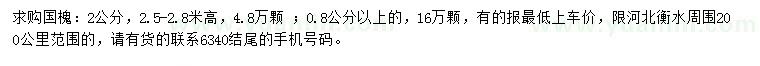 求購2公分國槐