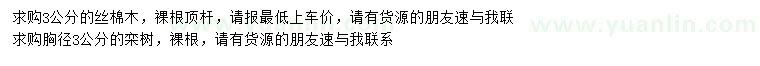 求購(gòu)3公分絲棉木、欒樹