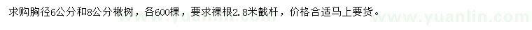 求購胸徑6、8公分楸樹
