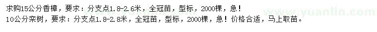 求購15公分香樟、10公分欒樹