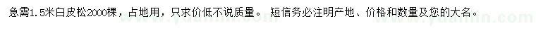 求購1.5米白皮松