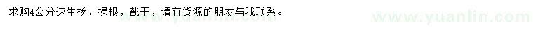 求購(gòu)4公分速生楊