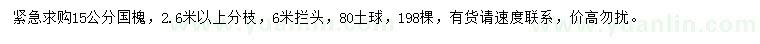 求購15公分國槐