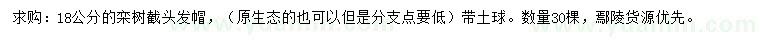 求購(gòu)18公分欒樹