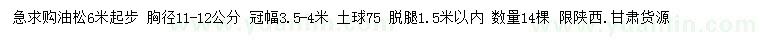 求購6米以上油松