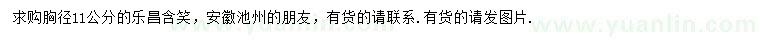 求購胸徑11公分樂昌含笑
